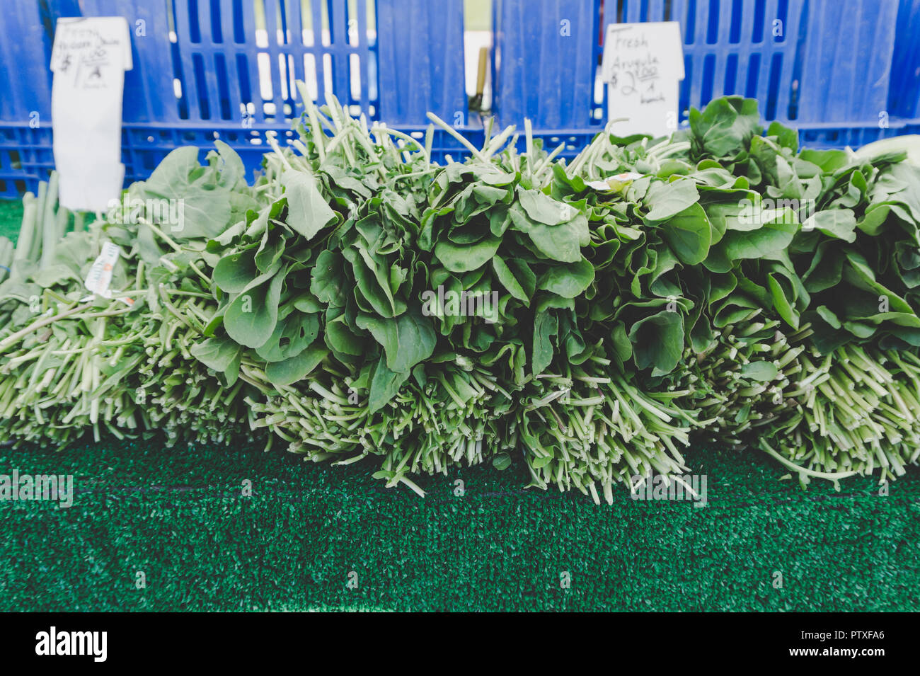 La California del sud mercato agricolo il bellissimo display di foglie di rucola e altre verdure fresche Foto Stock
