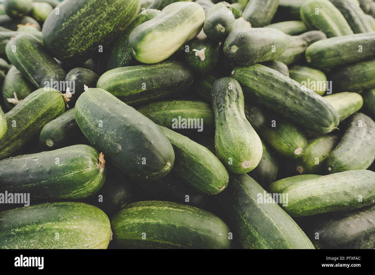 Display eccezionale di fresco e salutare i cetrioli verde in una pila. Foto Stock