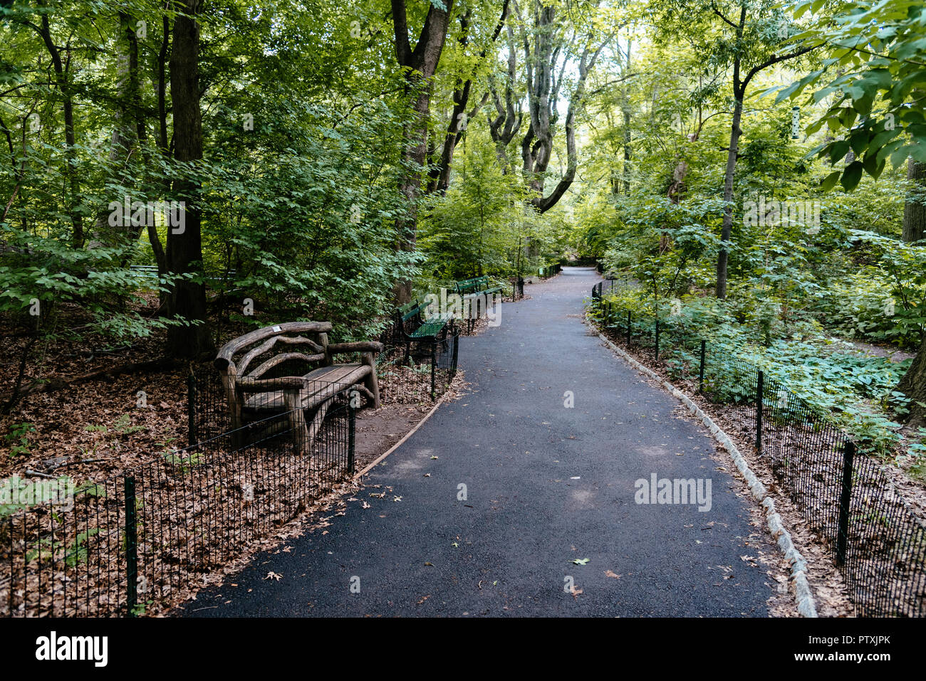 Il sentiero circondato da alberi di Central Park di New York City Foto Stock