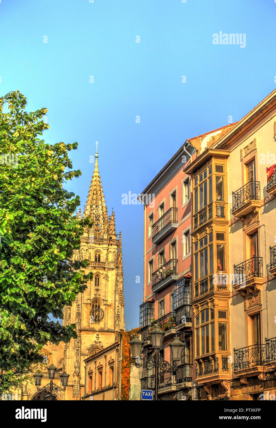 Oviedo, capitale delle Asturie, Spagna Foto Stock