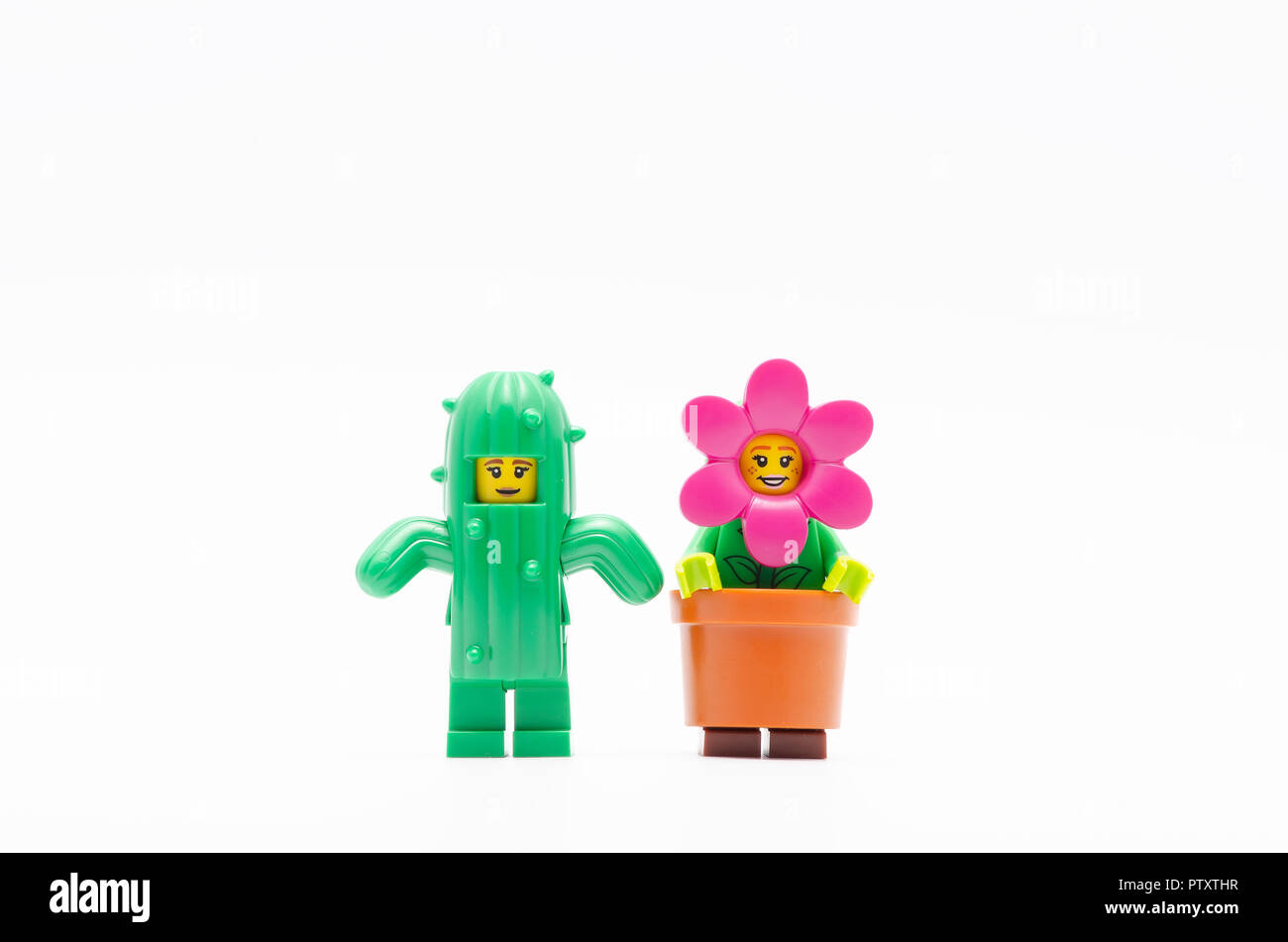 Lego ragazza di cactus e vaso di fiori ragazza Foto stock - Alamy