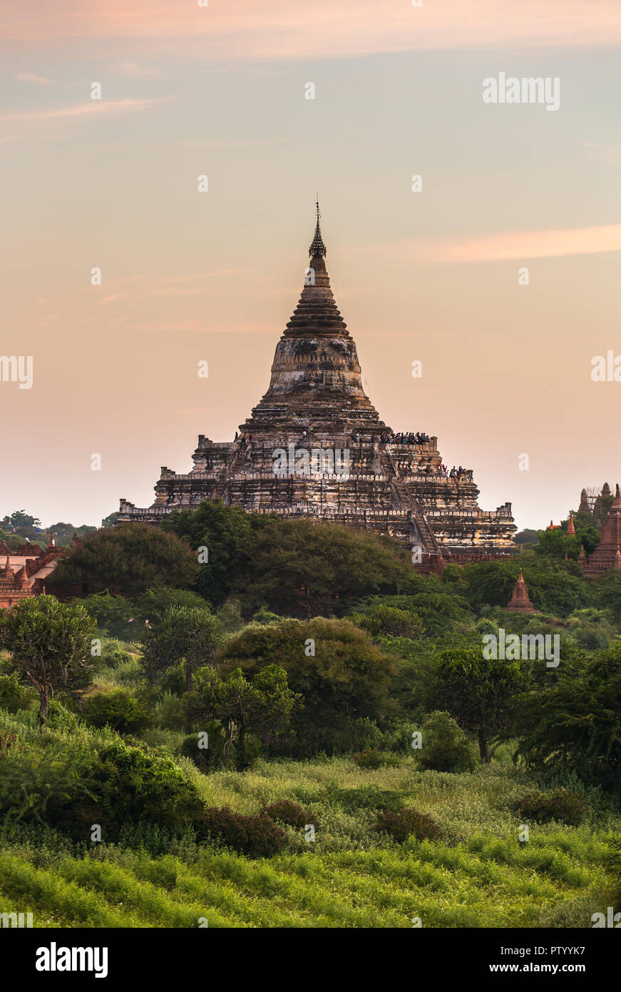 Old Bagan pagode e templi di sunrise in Myanmar Foto Stock