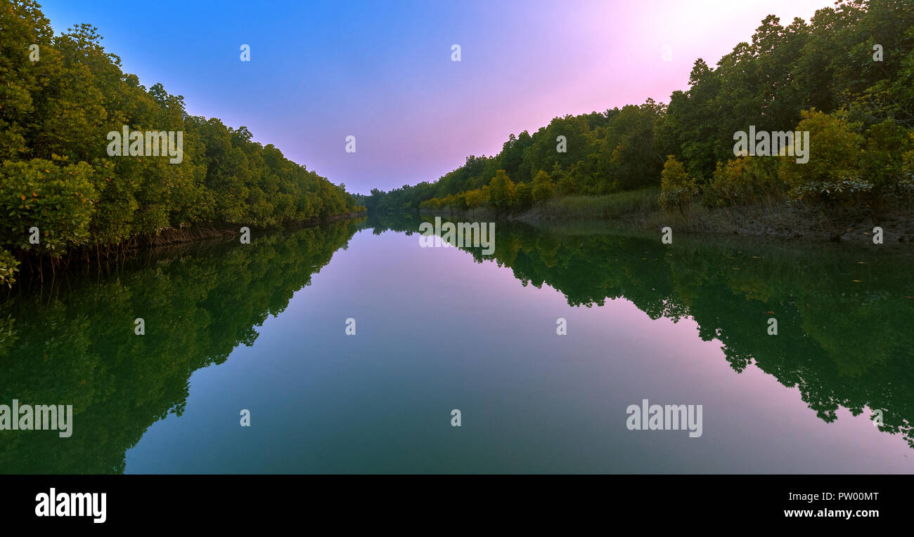 Più grande del mondo di mangrovie di delta Foto Stock