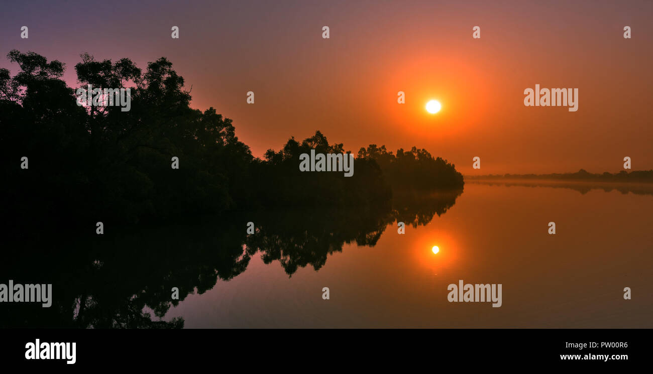 Rising Sun è alle spalle della mangrovia Foto Stock