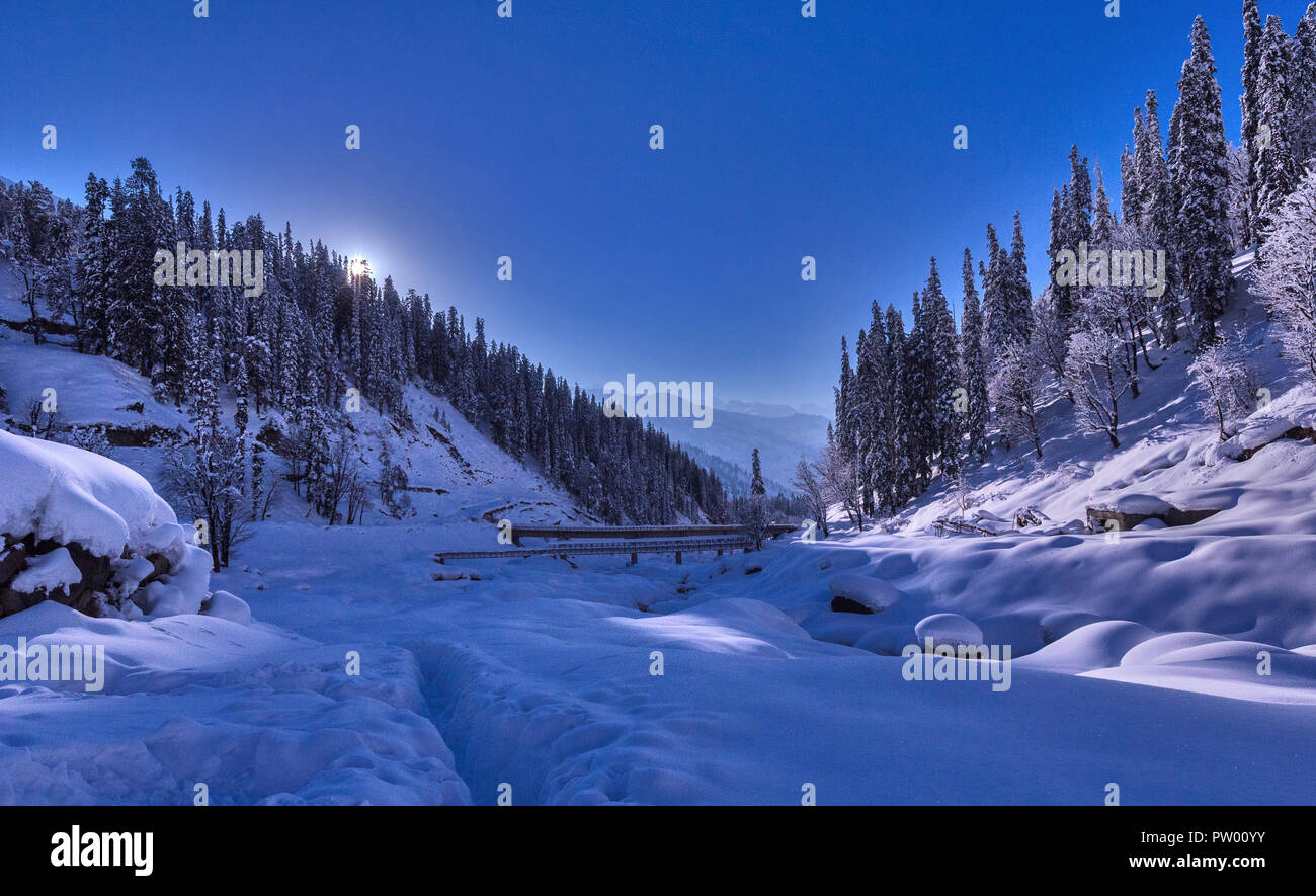 L'inverno il sole batte appena dietro dall'albero linea di Dhundi , Himachal Pradesh , India Foto Stock