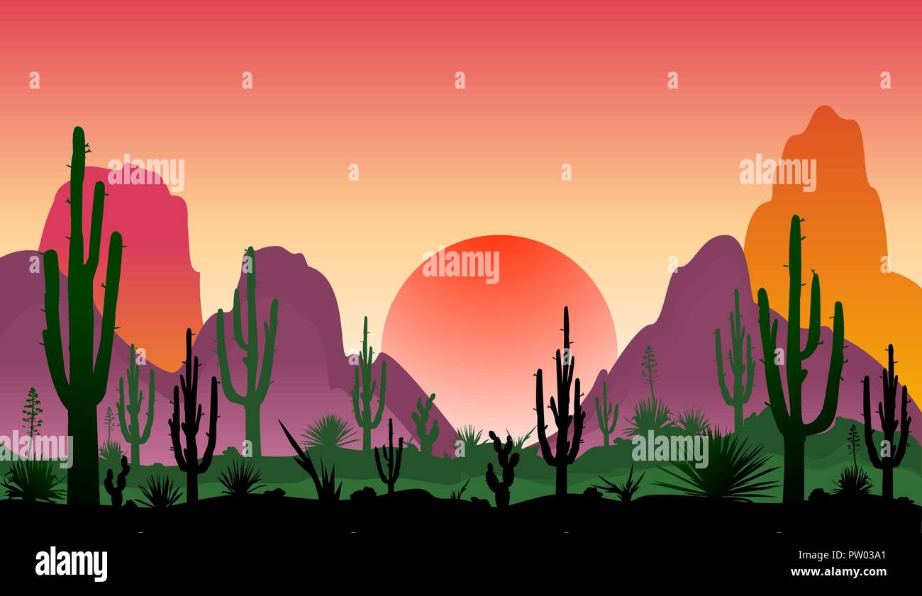 Tramonto in un deserto pietroso con cactus. Sagome di pietre, cactus e piante. Il paesaggio del deserto con cactus. Il deserto pietroso. Illustrazione Vettoriale