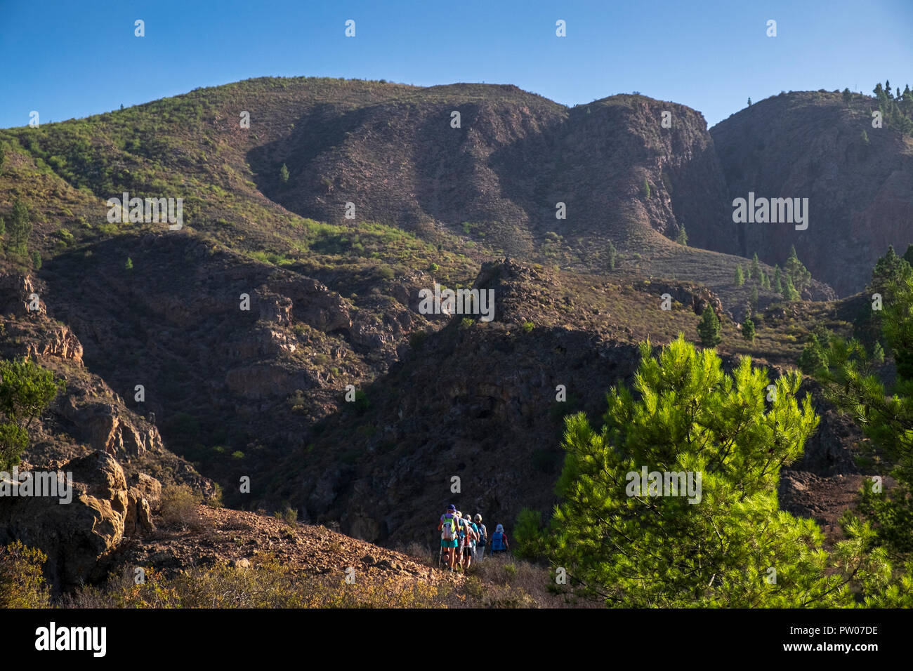 Passeggiate in montagna sopra Tijoco Alto su Tenerife, Isole Canarie, Spagna Foto Stock