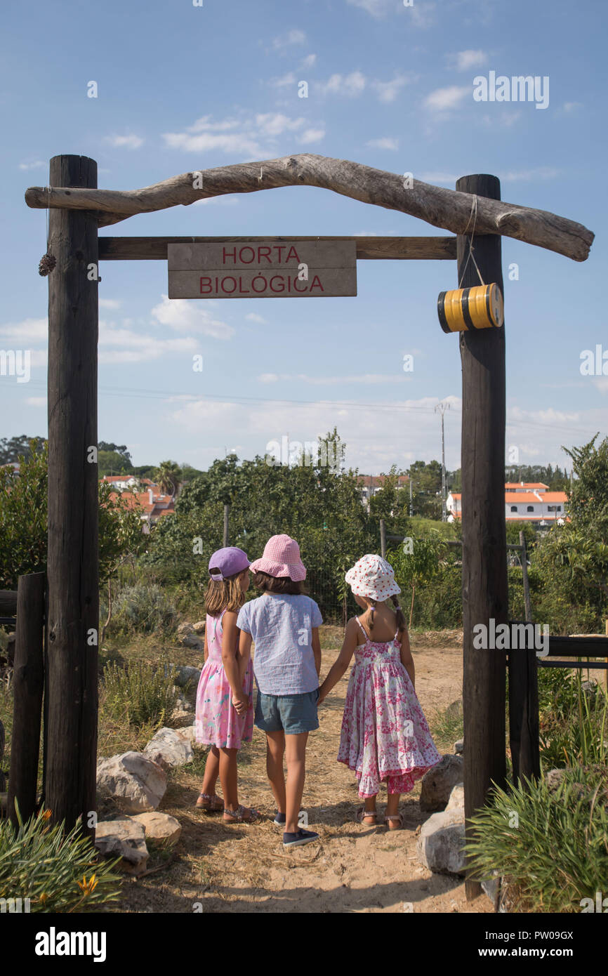 Tre giovani ragazze tenendo le mani ed entrando in orto biologico. Foto Stock