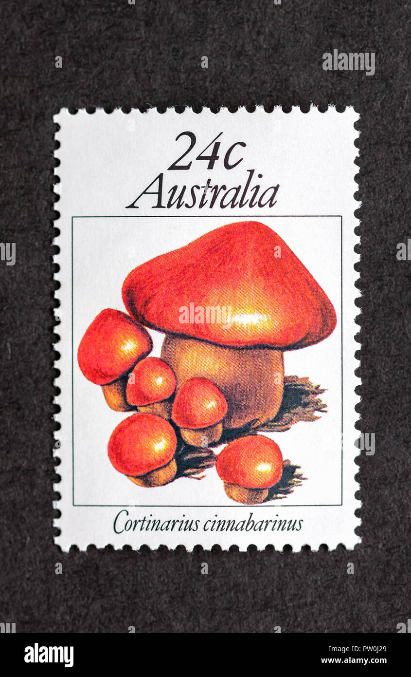 Australian Mint timbro raffigurante fungo Cortinarius cinnabarinus Foto Stock
