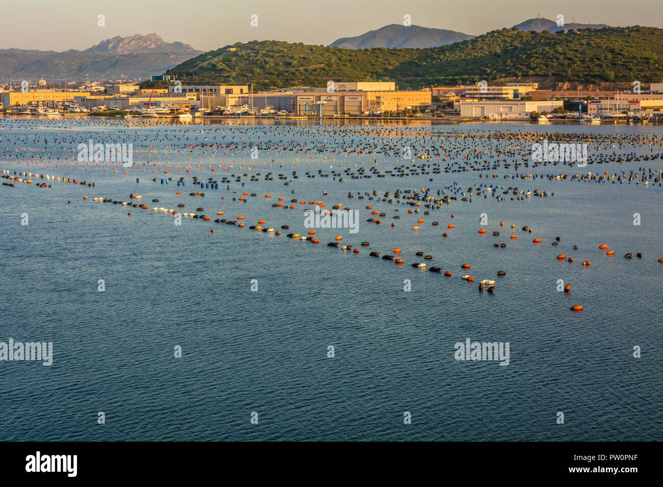 Olbia in Sardegna. Il paesaggio intorno a Olbia, vista dalla nave da crociera in arrivo al porto di Olbia in Sardegna, scena di mattina Foto Stock