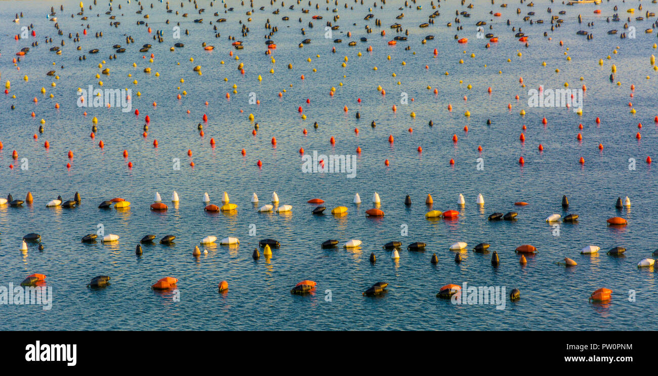 Olbia in Sardegna. Boe colorate in blu mare nel porto di Olbia, l'isola di Sardegna in Italia. Foto Stock