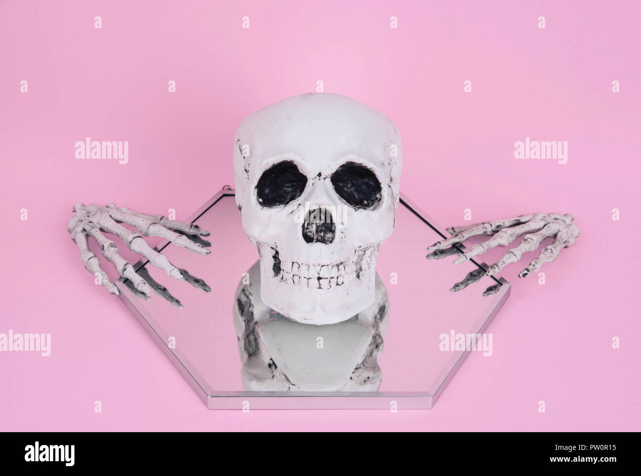 Teschio sul trendy rosa pastello sfondo. Creative concetto di Halloween. Foto Stock