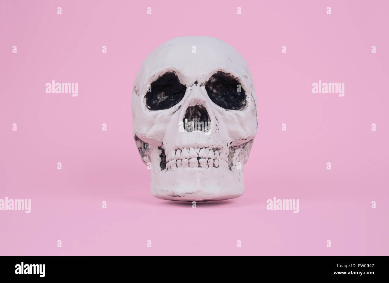 Teschio sul trendy rosa pastello sfondo. Creative concetto di Halloween. Foto Stock