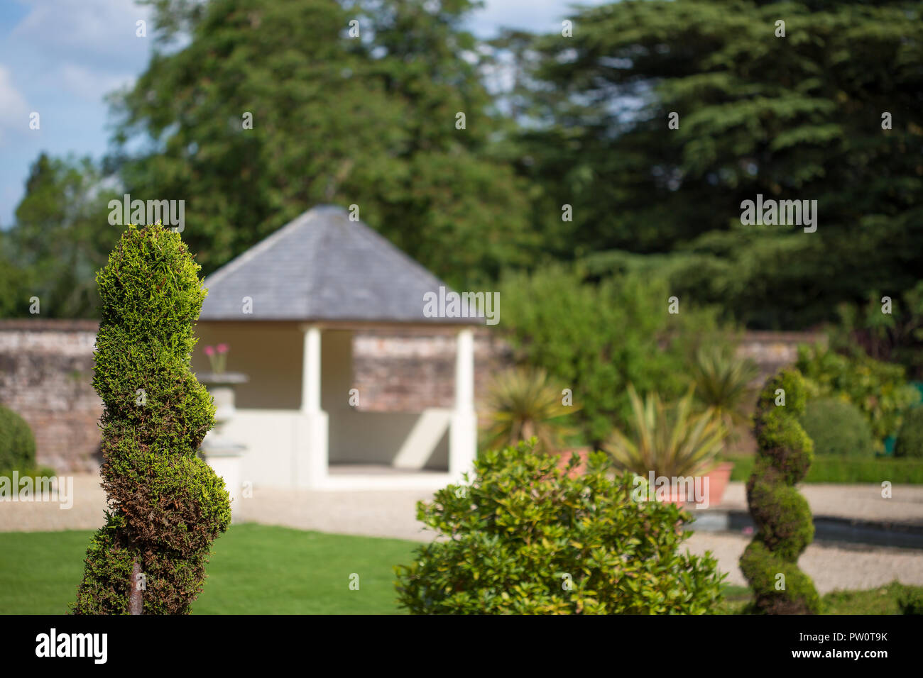 Giardino in stile italiano (italianate) in un pomeriggio estivo soleggiato. Primo piano su topiario. Spazio di copia. Foto Stock