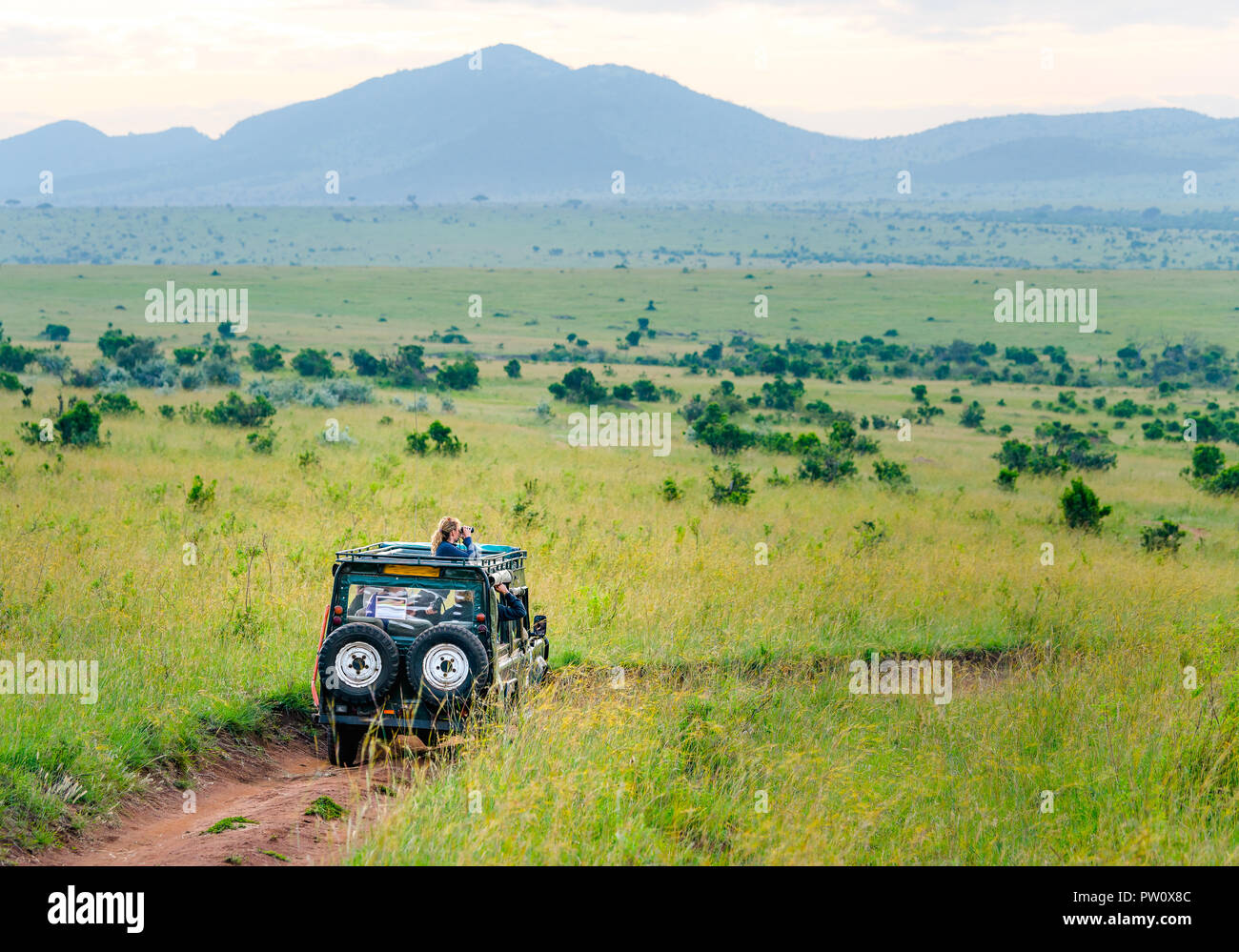 Africa jeep safari guida su Masai Mara e il parco nazionale del Serengeti sulla savana verde con il blu del cielo. I turisti la guida jeep per un safari in Kenya e Ta Foto Stock
