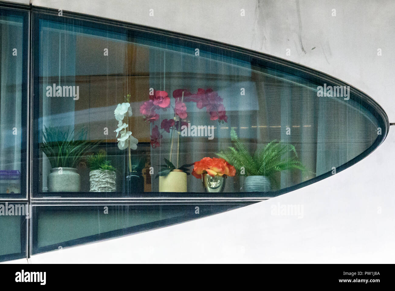 10-2018 Manhattan, New York. Dettaglio di Zaha Hadid prima New York condominio a 520 West 28th Street. Fiori in forma strana finestra. Foto: © Simon Foto Stock