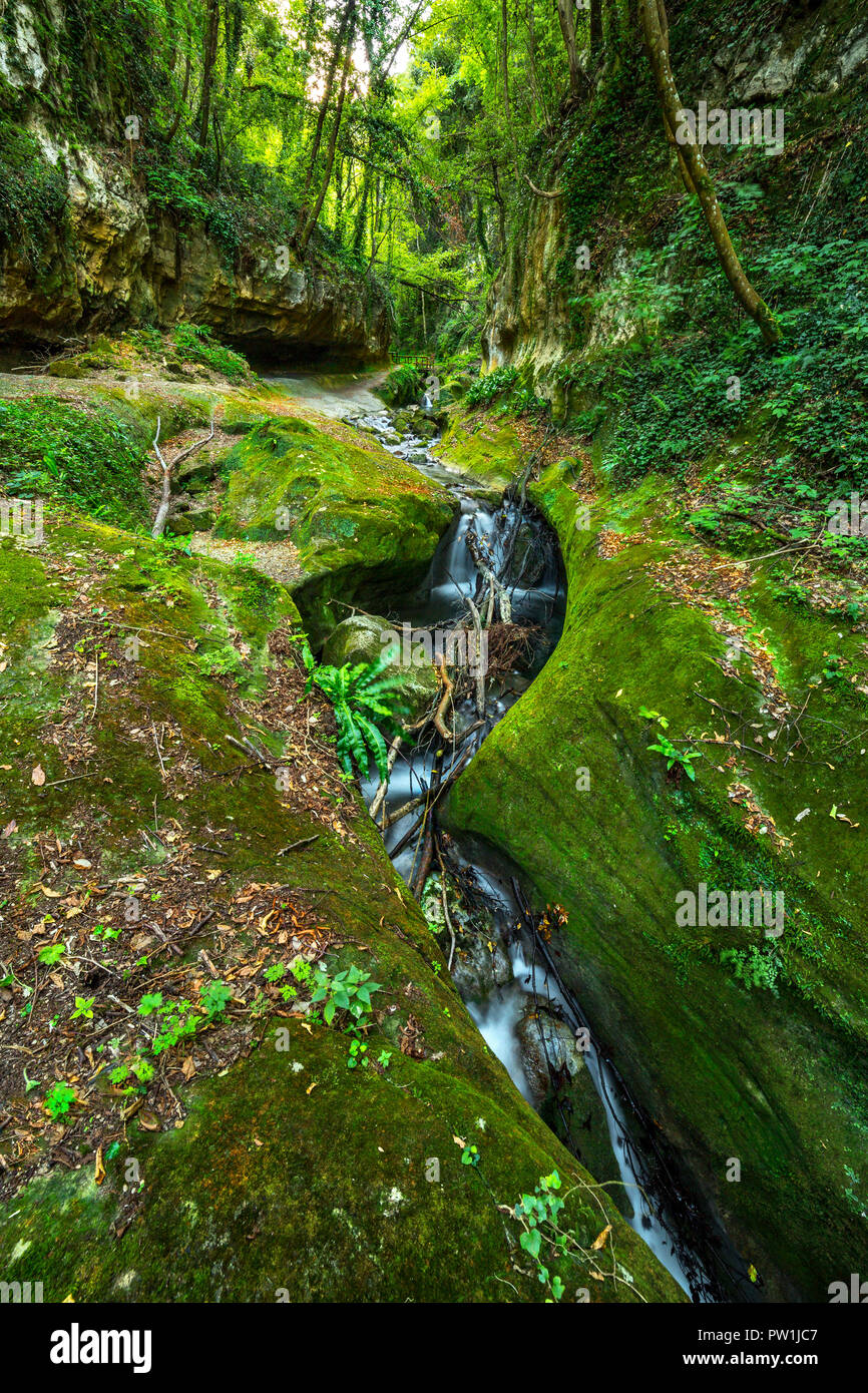 Piccola cascata tra rocce ricoperte di muschio. Abruzzo, Italia, Europa Foto Stock