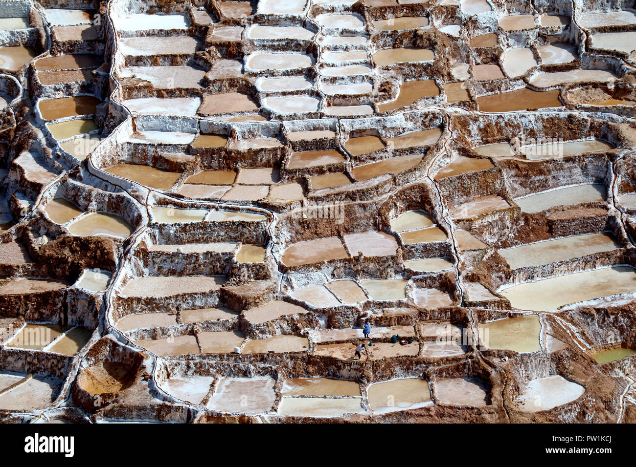 Il sale stagni di Salineras de Maras, La Valle Sacra degli Incas, regione di Cusco, Perù Foto Stock