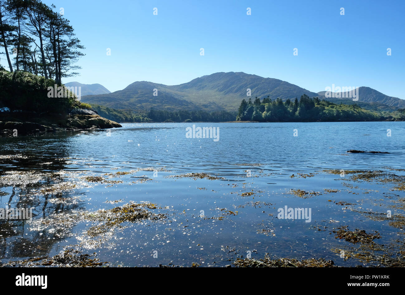 La costa della penisola di Beara, nella contea di Kerry, Irlanda - Giovanni Gollop Foto Stock