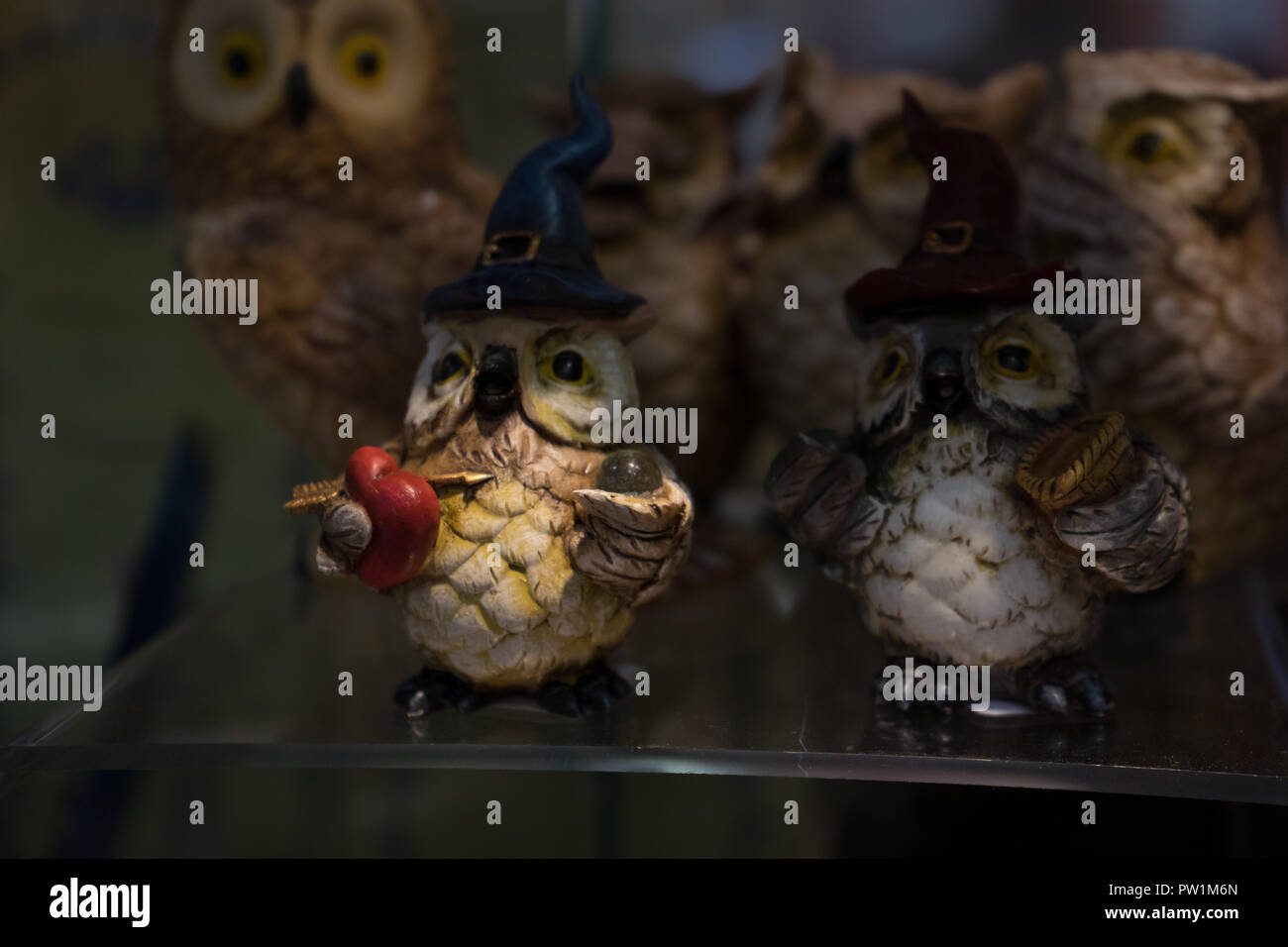 Un gufo scolpito in legno sul display in Brugge, Belgio, Europa Foto Stock