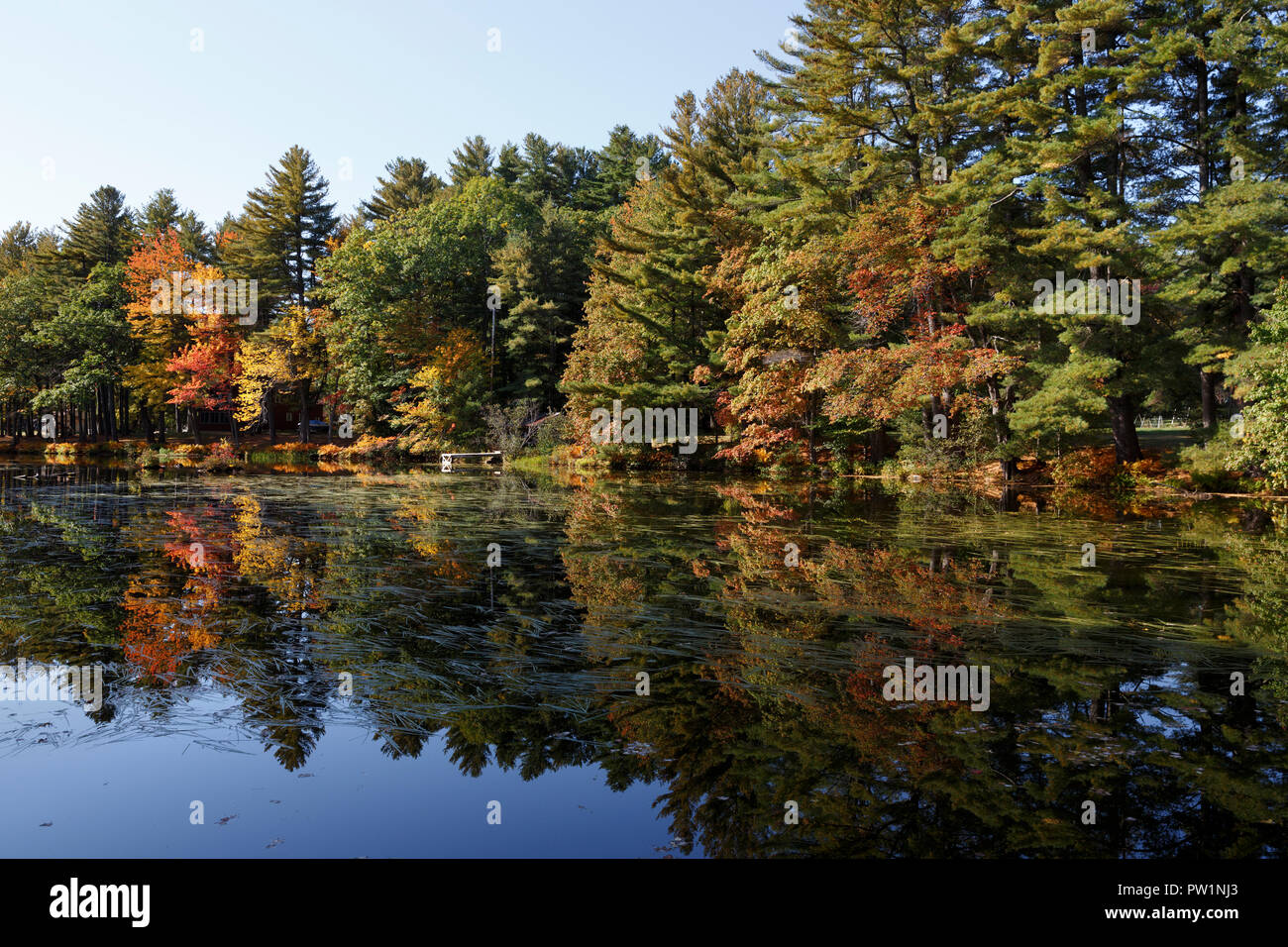 Caduta delle Foglie Thompson Lago, Oxford, Maine, Stati Uniti d'America Foto Stock