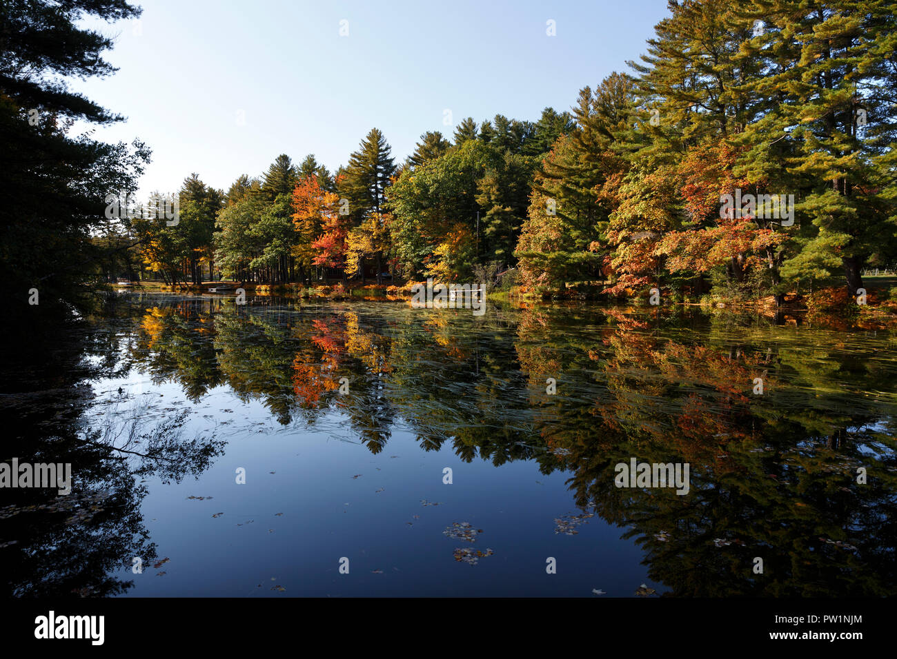 Caduta delle Foglie Thompson Lago, Oxford, Maine, Stati Uniti d'America Foto Stock
