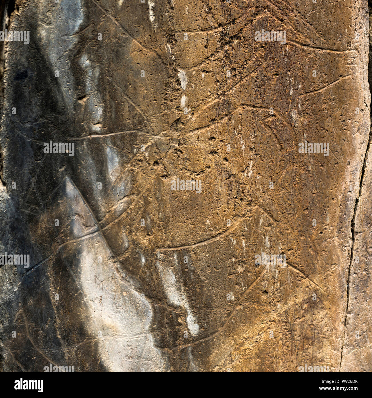 Le testimonianze preistoriche rupestri sito della valle del COA è un open air Paleolitico Superiore sito archeologico nel nord-est del Portogallo Foto Stock