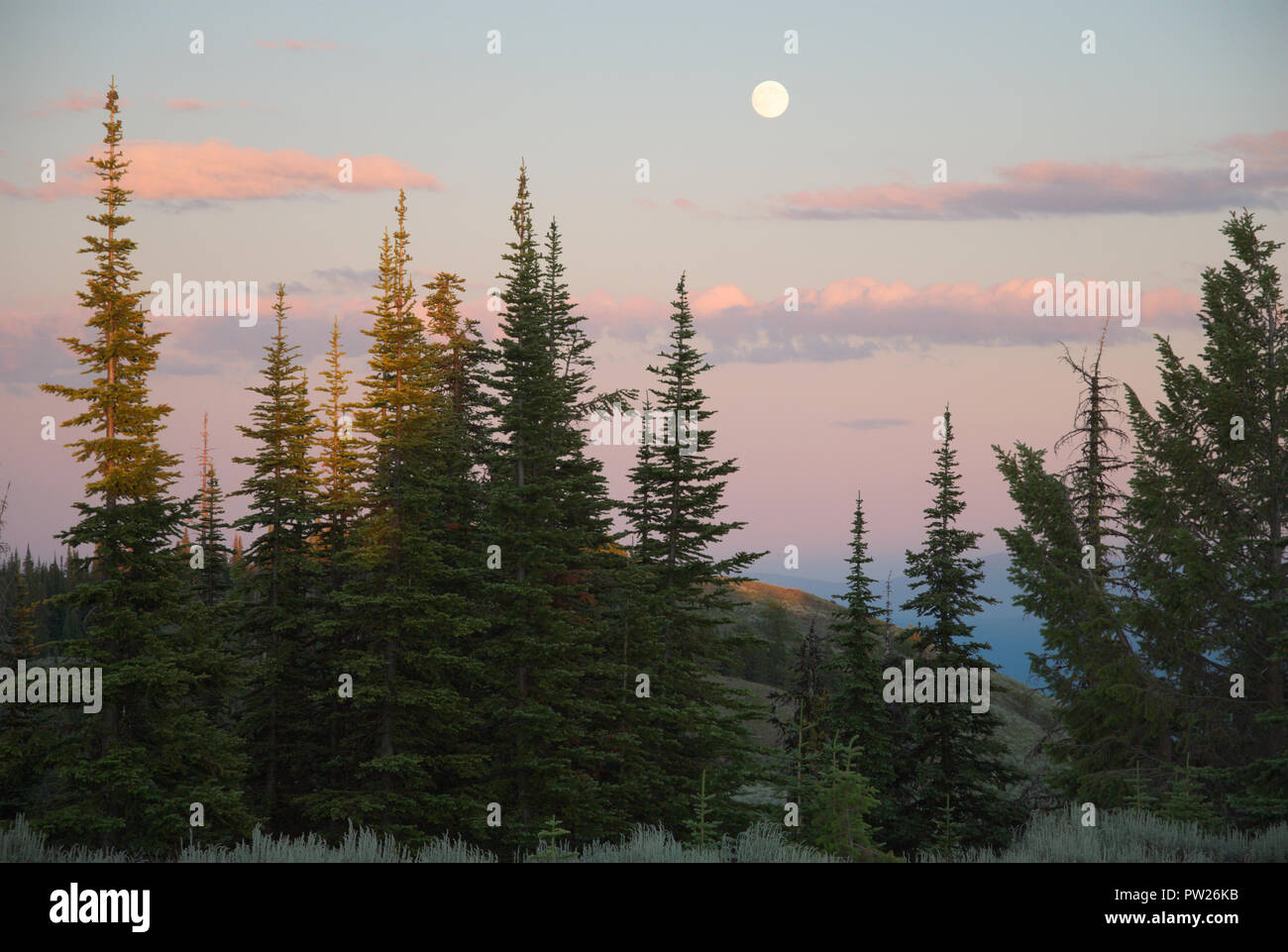 Luna sul Monte Kobau, British Columbia, Canada Foto Stock