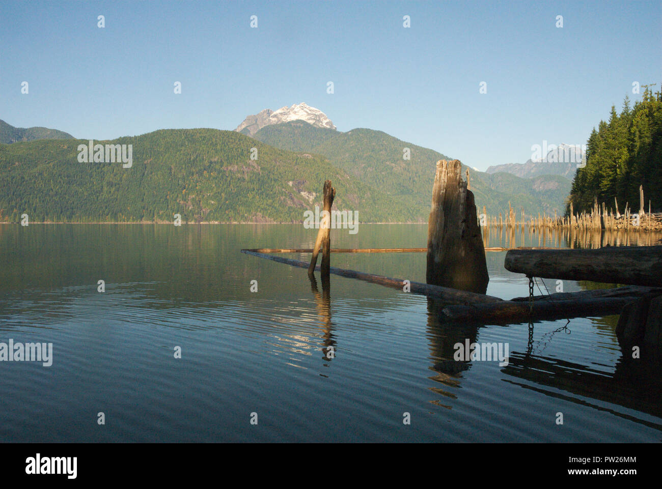 Dead Trees vicino al 'tiki lounge' a Stave Lake, Mission, British Columbia, Canada Foto Stock