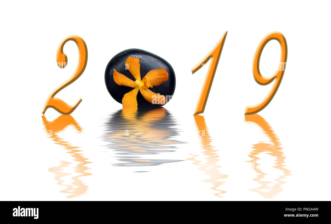 2019, zen orange orchid e pietra nera Foto Stock