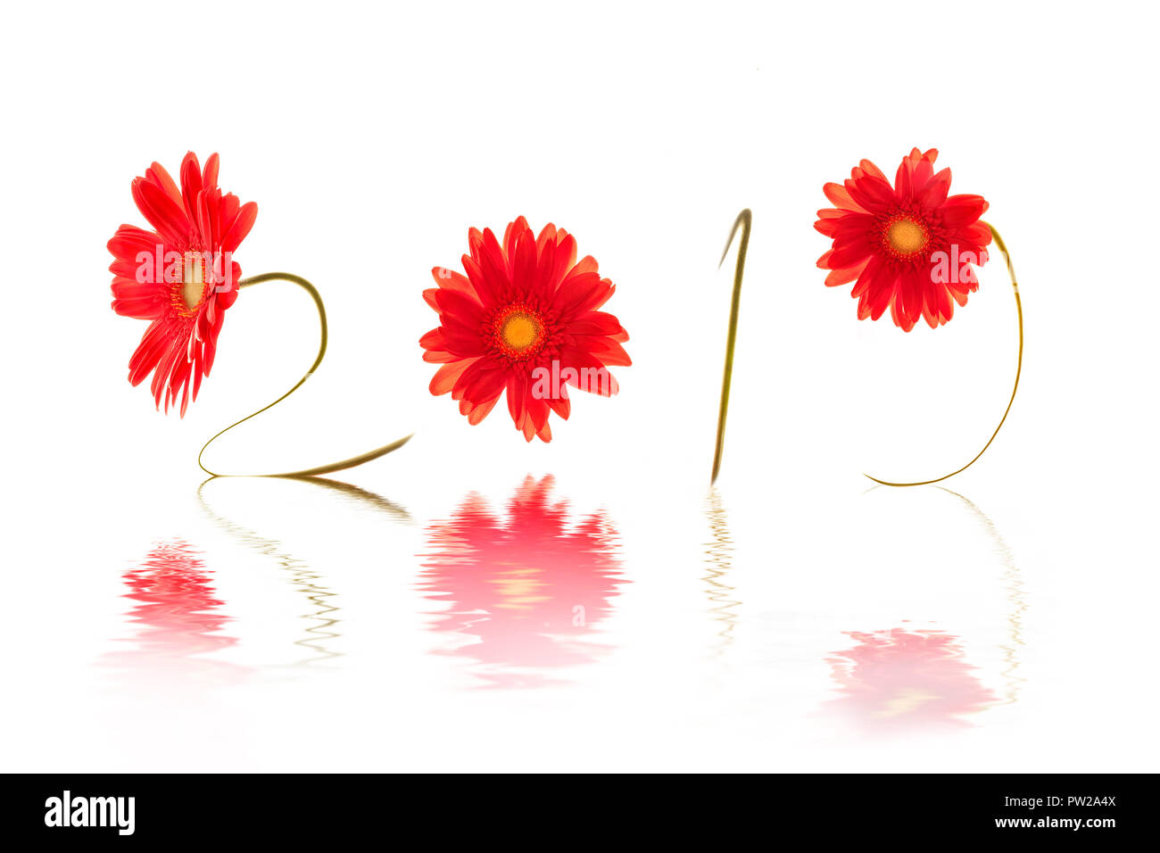 2019, scritta con rosso daisy steli dei fiori, acqua riflessione Foto Stock 2019, scritta con rosso daisy steli dei fiori, acqua riflessione Foto Stock