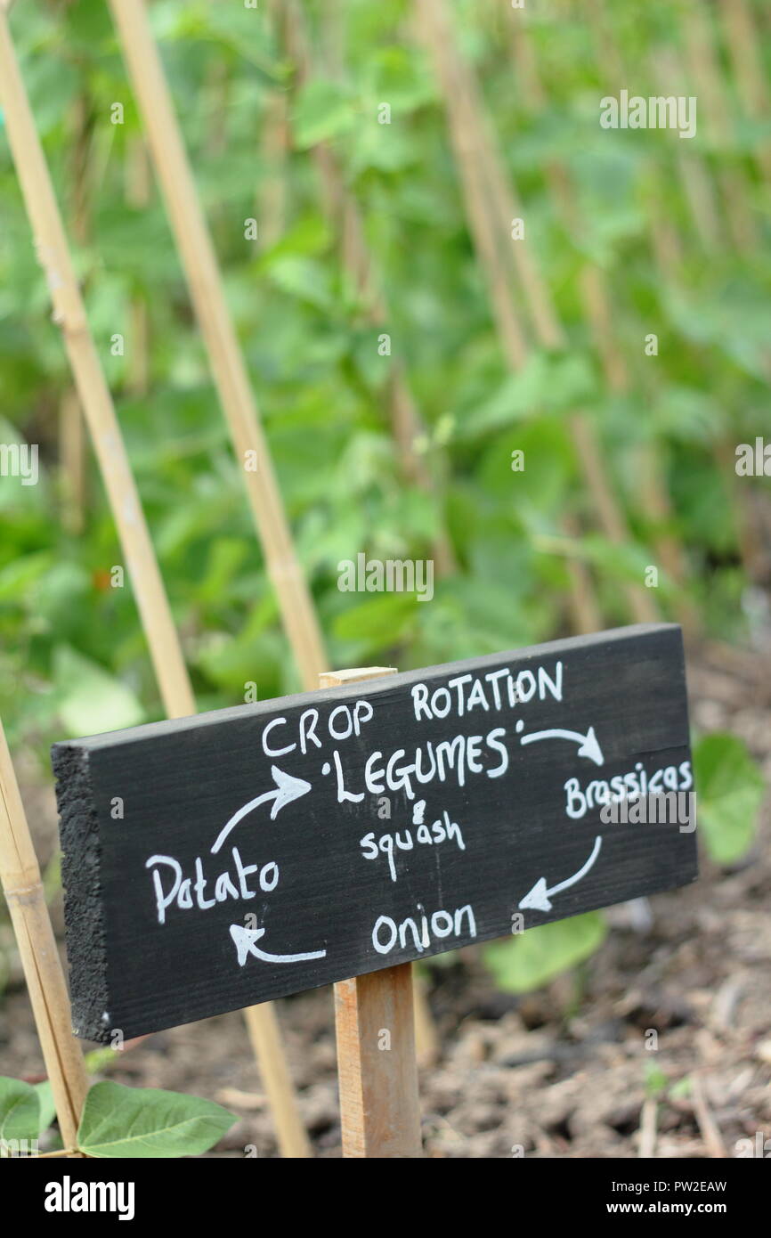 Rotazione di raccolto segno indicante crescente sequenziale a contribuire a dissuadere il raccolto determinati parassiti e malattie delle piante, inglese riparto organico garden, REGNO UNITO Foto Stock Rotazione di raccolto segno indicante crescente sequenziale a contribuire a dissuadere il raccolto determinati parassiti e malattie delle piante, inglese riparto organico garden, REGNO UNITO Foto Stock