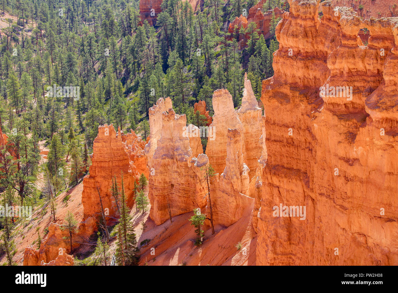 Parco Nazionale di Bryce Canyon dello Utah Foto Stock