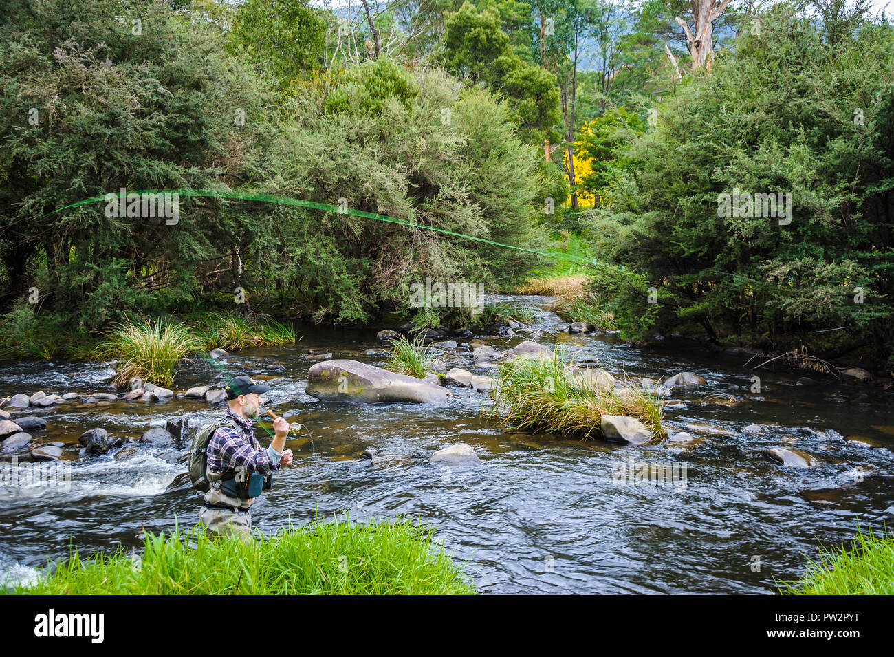 Esperto di pesca a mosca il pescatore, ben preparato e continuando ad affinare la sua pesca a mosca le competenze in un fiume selvaggio habitat. Foto Stock