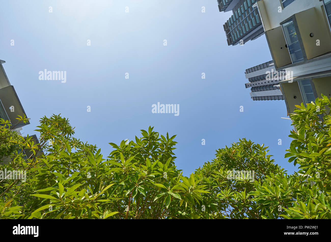 Bassa angolazione degli edifici moderni e verde con cielo chiaro dello sfondo. Foto Stock