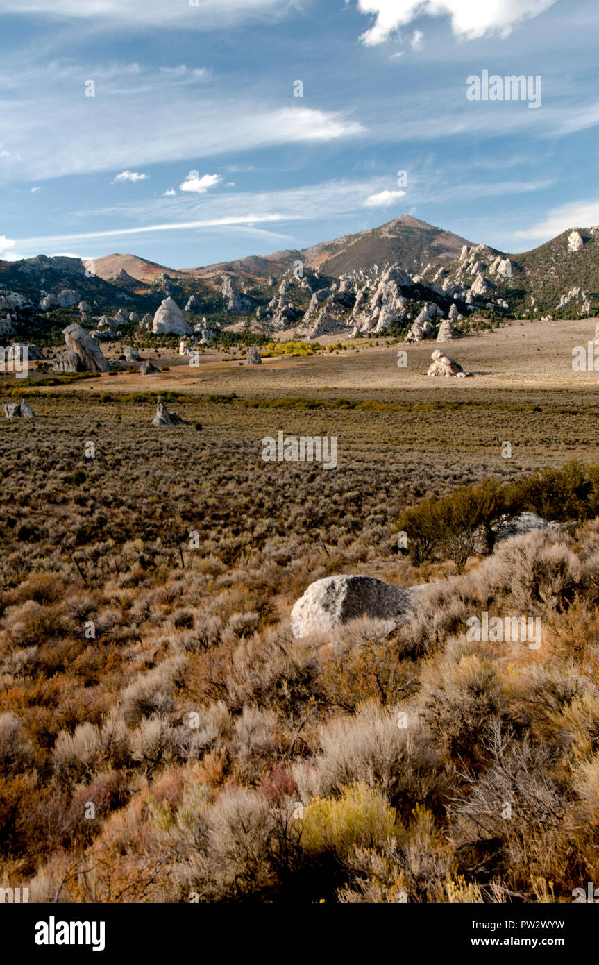 Cerchio bacino del torrente nella città di roccia riserva nazionale, Idaho Foto Stock