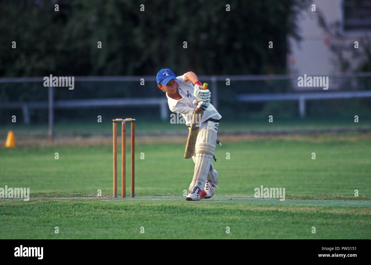 Junior cricket partita in corso, Sydney, Nuovo Galles del Sud, Australia Foto Stock