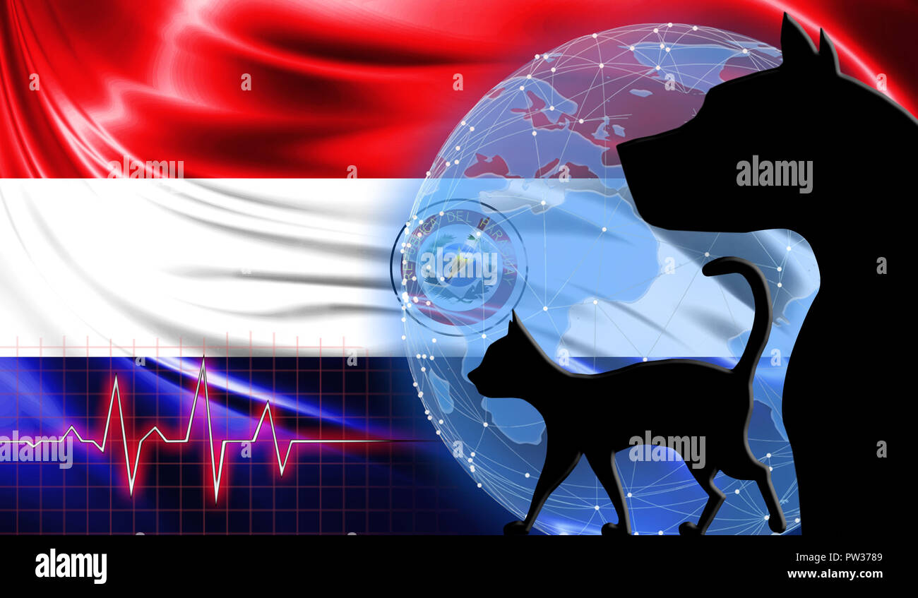 Il nero di cane e di gatto sullo sfondo della bandiera del Paraguay. Aiuti  di emergenza per animali domestici. Clinica veterinaria Foto stock - Alamy