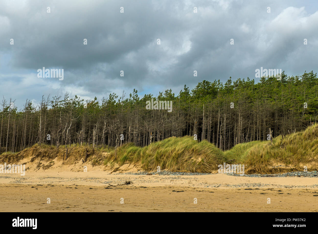 La spiaggia di Newborough Warren su Anglesey Foto Stock