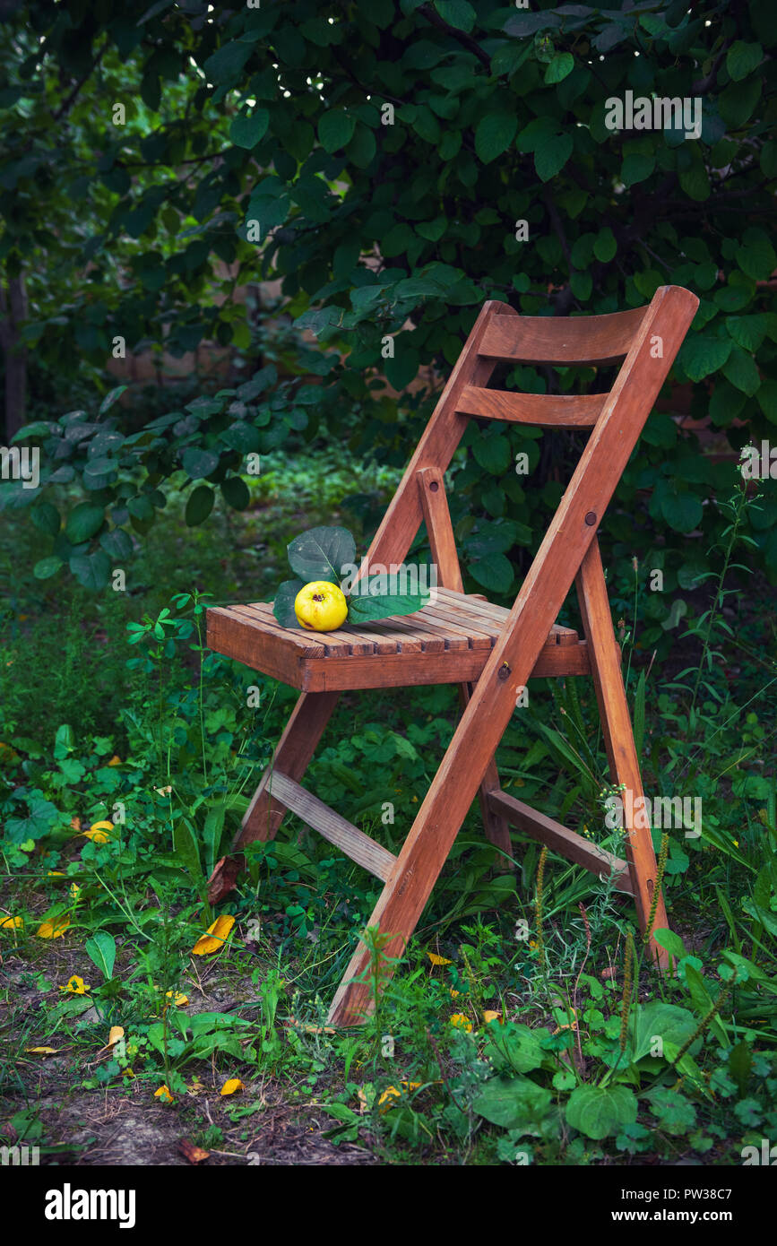 In legno antico sedia pieghevole nel paese giardino Foto Stock