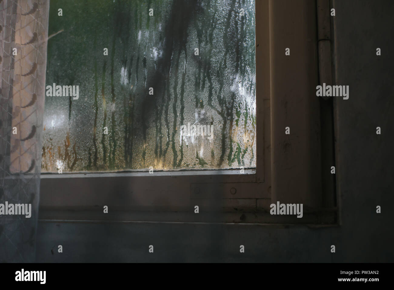L'acqua condensata in una finestra Foto Stock