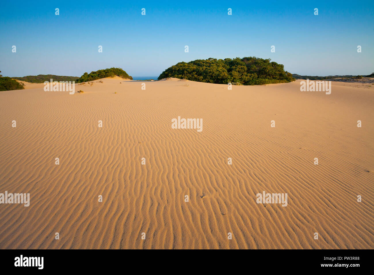 Dune marittime, dovela, Inharrime, Mozambico. Foto Stock