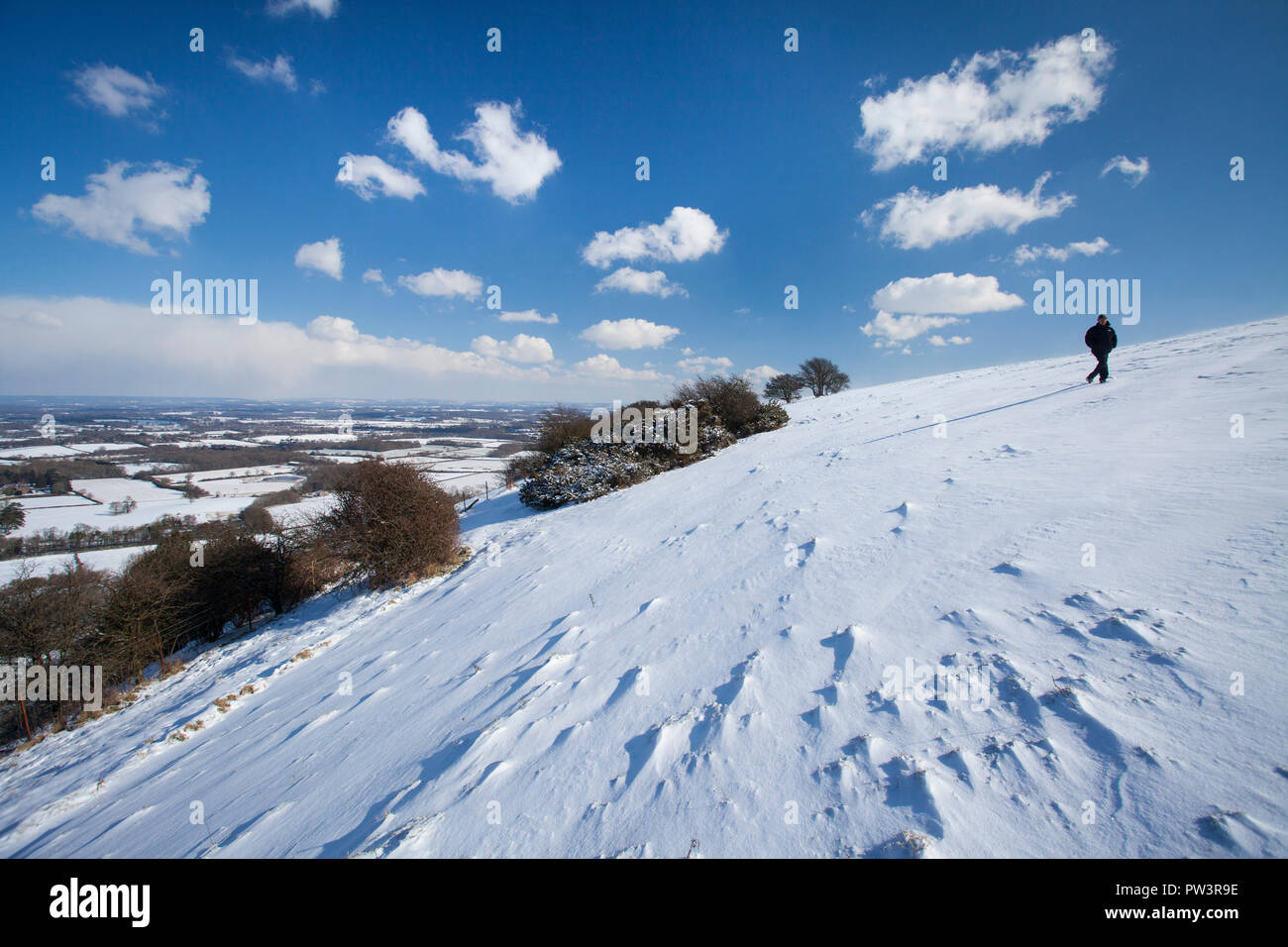 Snow on South Downs con Dog Walker, vicino a Ditchling Beacon, South Downs National Park, East Sussex, Inghilterra, Regno Unito. Foto Stock