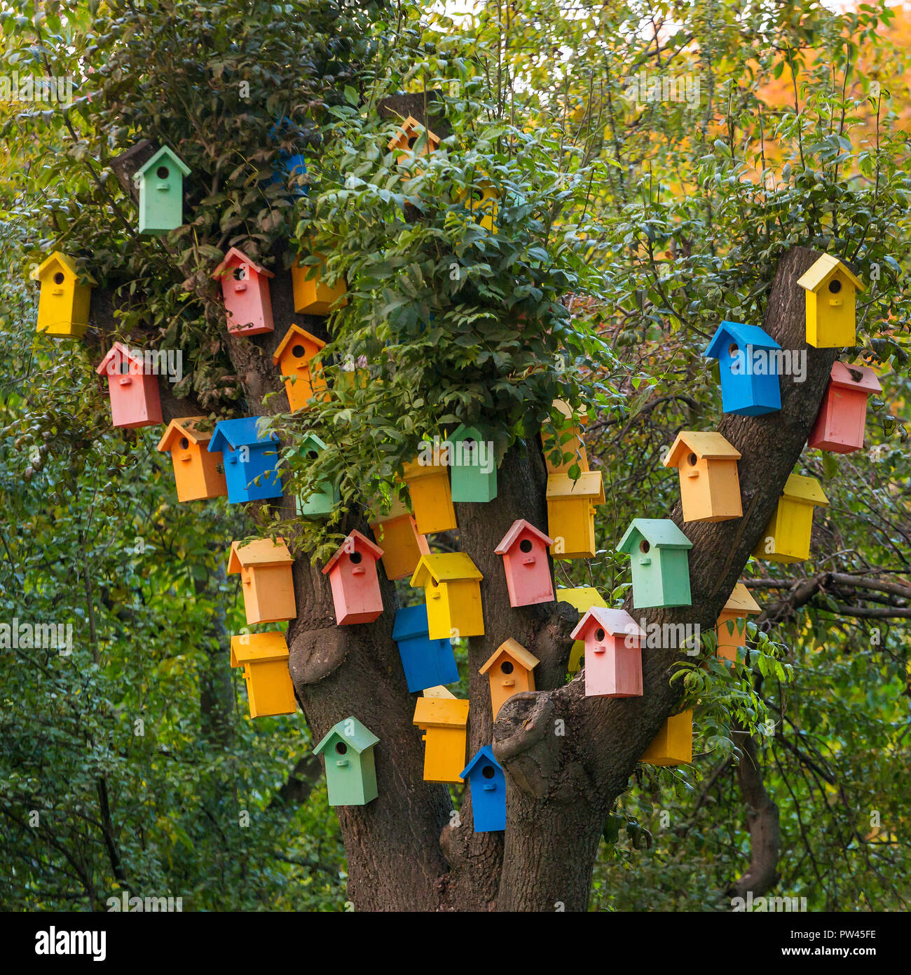 Molti luminosi birdhouses colorati su un albero. Quartiere affollato concept Foto Stock