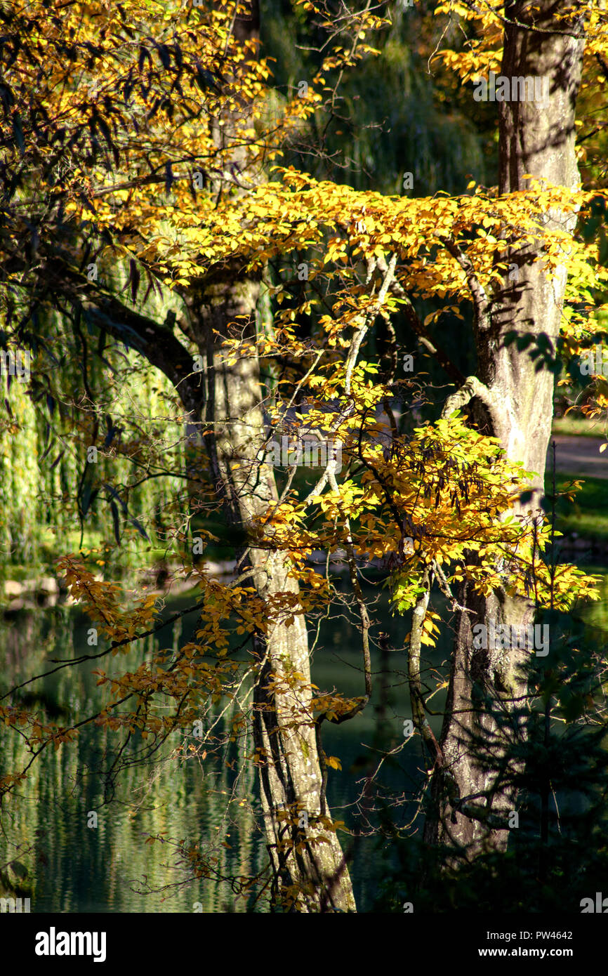 DE - BADEN-WÜRTTEMBERG : Autunno umore nel parco del castello Foto Stock