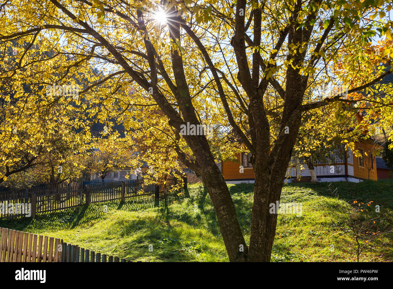 Soleggiata giornata autunnale nel villaggio nelle montagne dei Carpazi, Ucraina Foto Stock