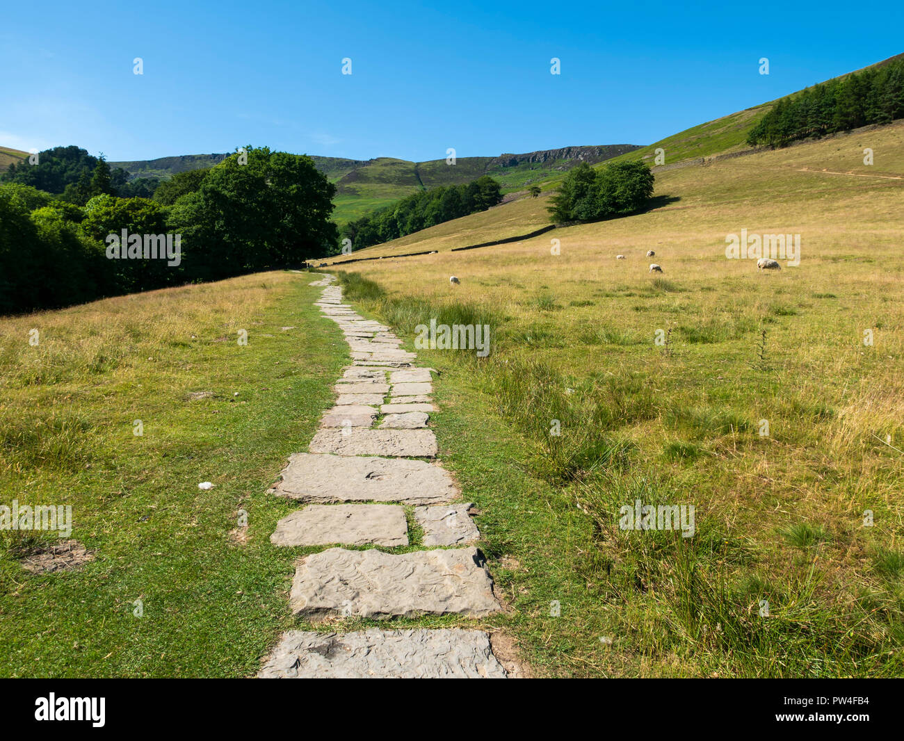 Il sentiero, Edale, Hope Valley, il Parco Nazionale di Peak District, Derbyshire, in Inghilterra. Foto Stock