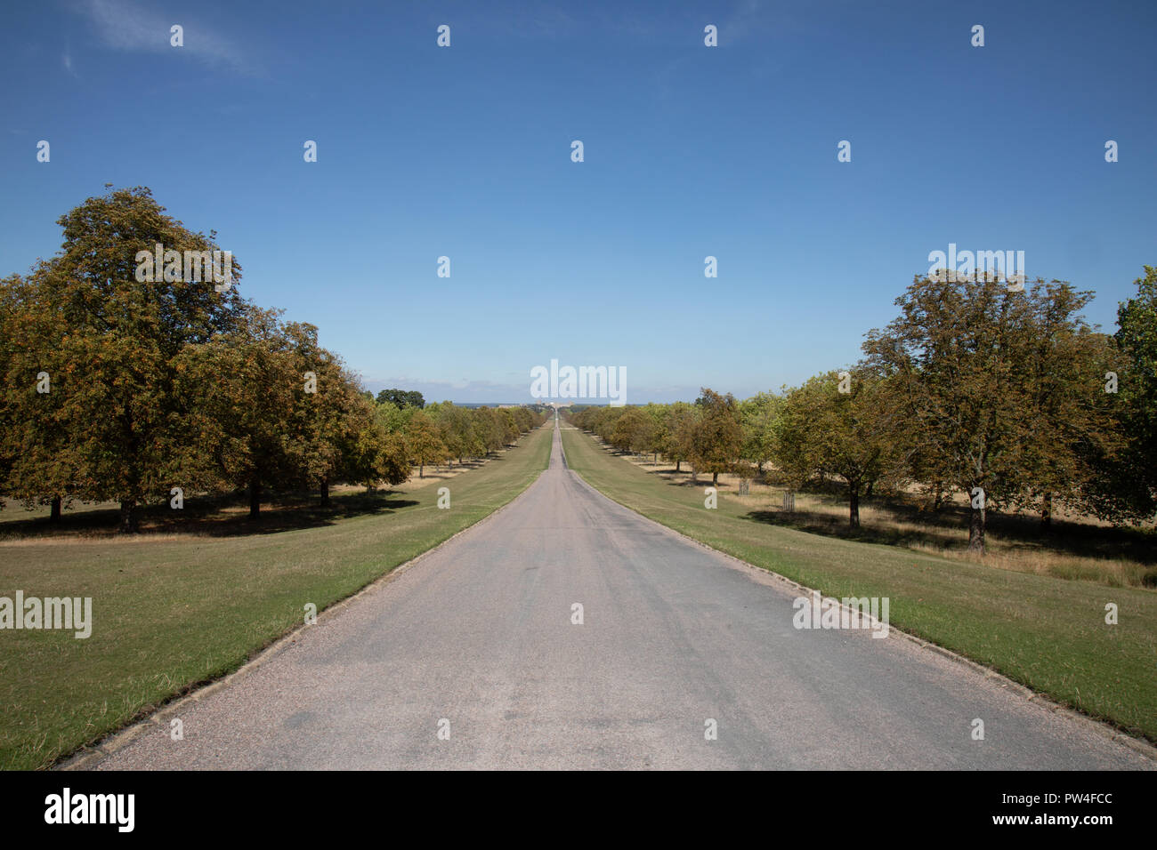 Windsor Great Park - Il lungo viaggio in auto Foto Stock