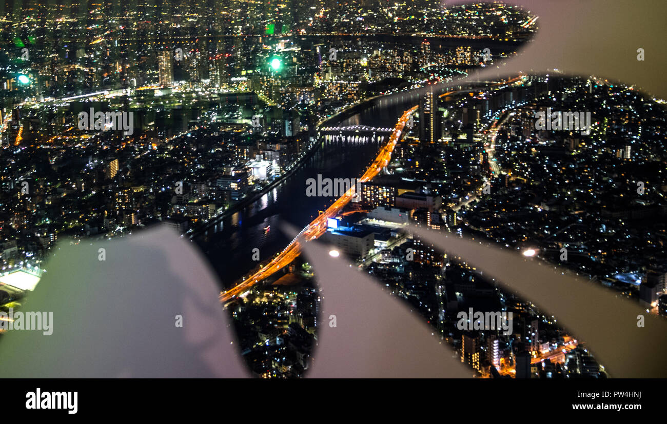 Bella del Mondo Foto Stock