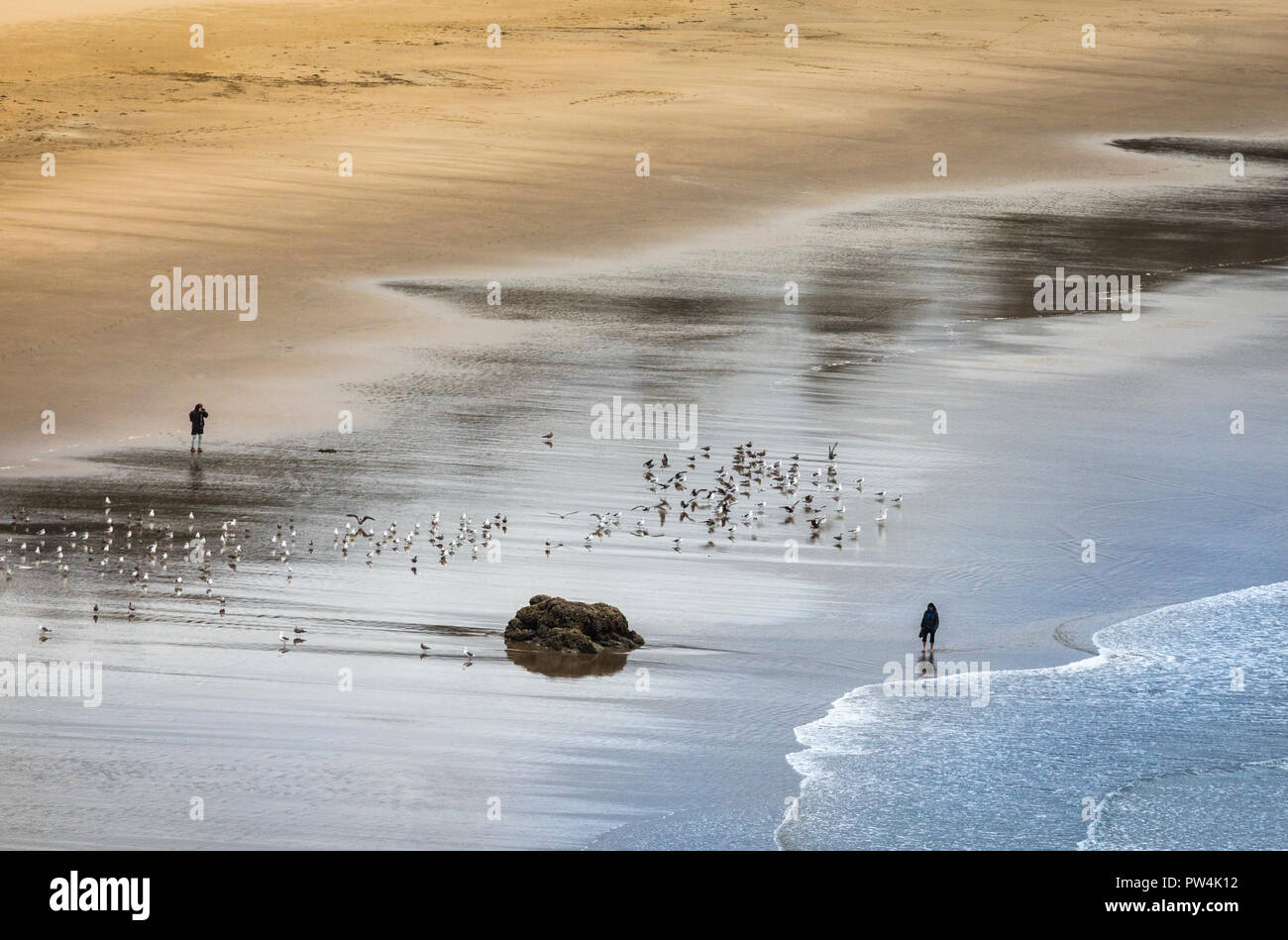 Paio di scattare fotografie lungo la spiaggia a mezzaluna vicino a Cannon Beach, Oregon, Stati Uniti d'America. Foto Stock
